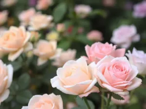 Dlaczego opalenizna z nad morza jest inna? Oto wyjaśnienie!